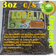 Lobelia, Hojas de Lobelia, Hierba del asma 